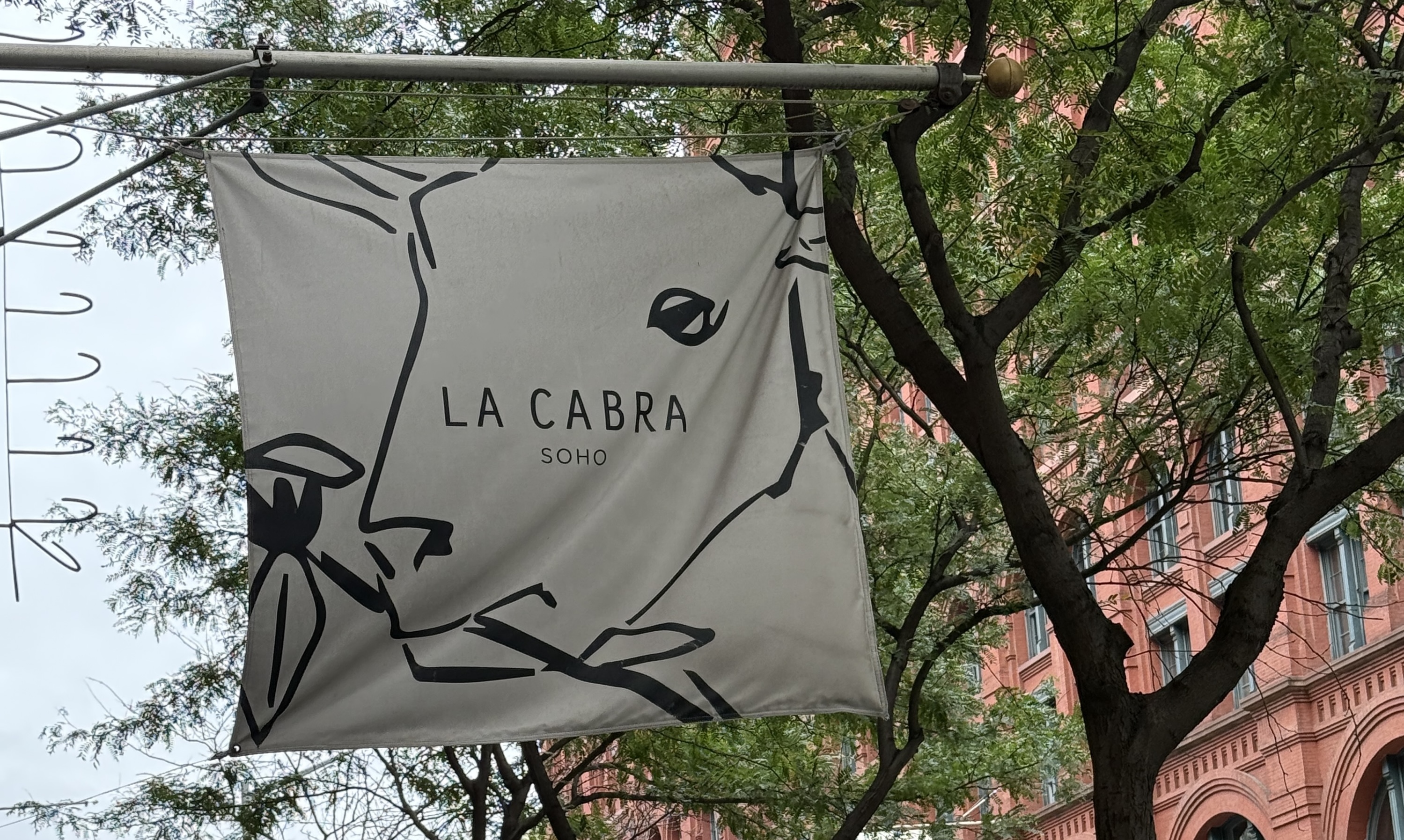 Cardamom bun close-up